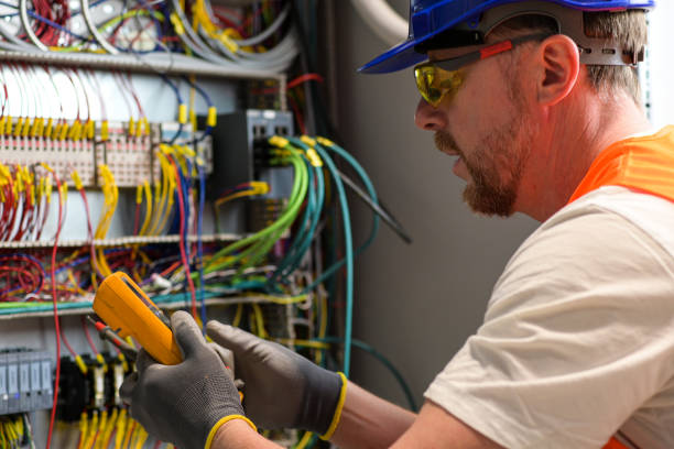 Best Home Electrical Repair  in Windom, MN